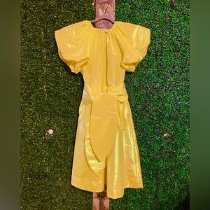 Christopher John Rogers X Target Women’s Neon Iridescent Midi Dress Sz XL